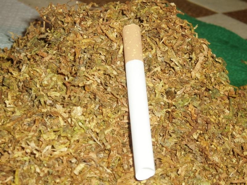 Полицията е открила нередовен тютюн в къща във врачанското село