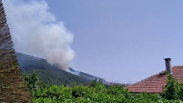Цяла нощ пожарникари гасиха големия пожар в боровата гора в района