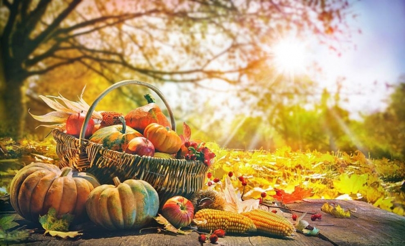 С настъпването на есента е важно да приспособим менюто си
