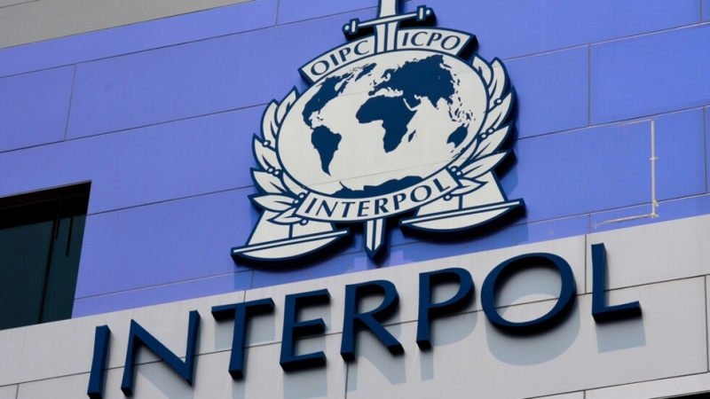 Интерпол откри повече от 12 души заподозрени в тероризъм по
