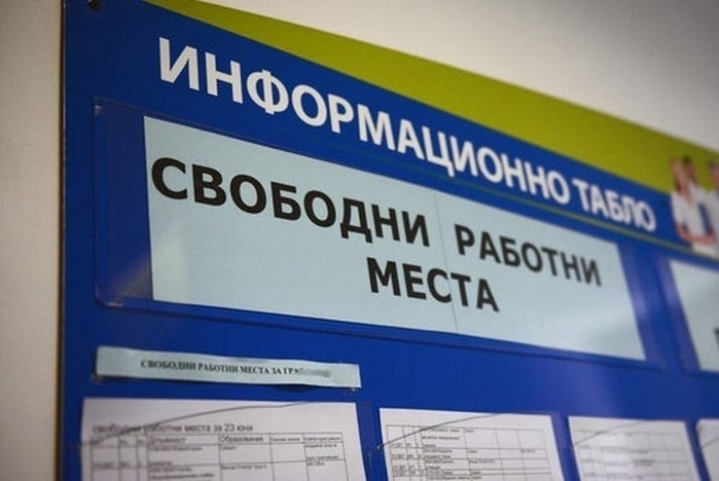 Дирекциите Бюро по труда във Видинско обявиха списъка със свободни