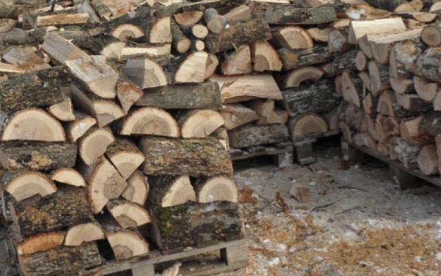 Иззеха 20 кубика дърва без документи при спецакция във Видинско,