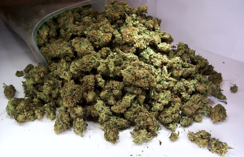 Над 1 килограм марихуана са иззети от частен имот в