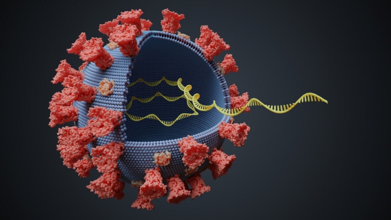 Япония се опитва да изолира нова мутация на коронавируса, която