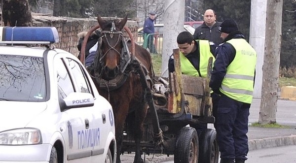 Полицията в Козлодуй е спряла каруца с незаконни дърва, съобщиха