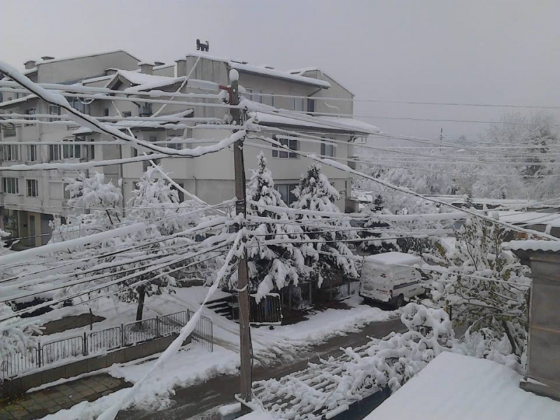 Мокрият сняг който заваля в неделя вечер в Северозападна България