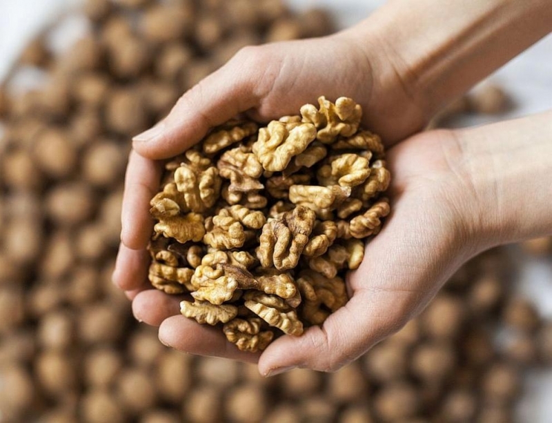 Харвардски учени обявиха орехите за най полезния продукт за сърцето Дълго