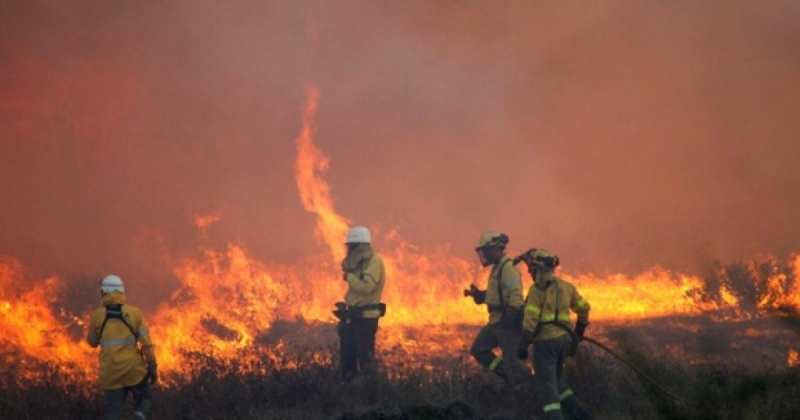 Пожар унищожи 10 дка ечемик във Видинско, съпбщиха от полицията.