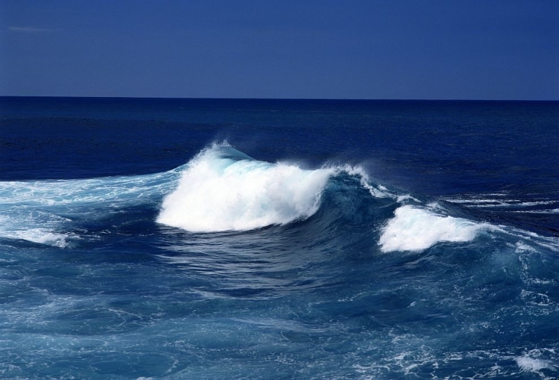 Океаните, които са източник на живота на Земята, могат да