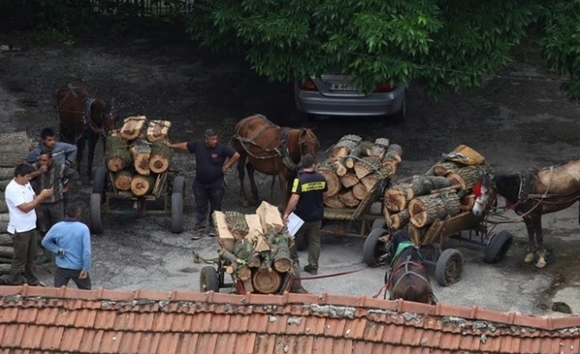 Четири каруци натоварени с дърва са засечени от горски и