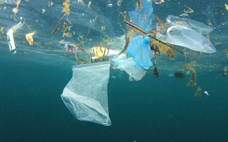В Черно море се увеличава количеството на пластмасови отпадъци. Това
