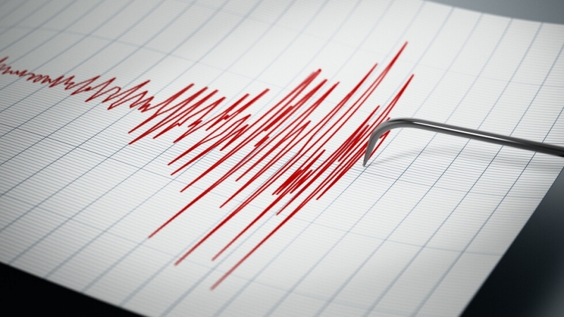 Земетресение от 6 4 по Рихтер стана в Аржентина сочат данните