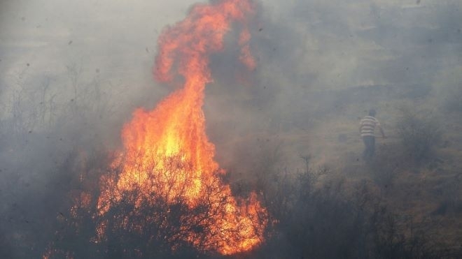 Най малко 13 души загинаха в резултат на тежките горски пожари
