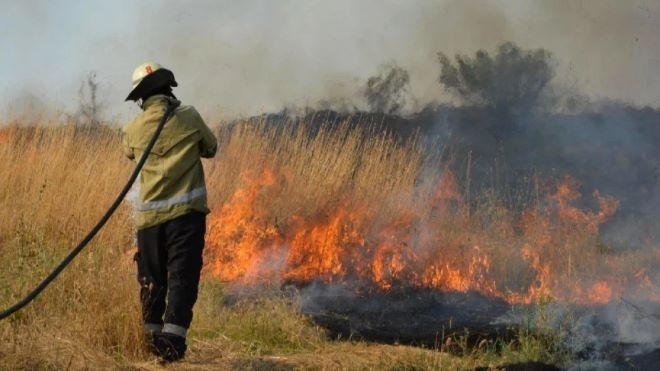 Има увеличение на пожарите и на засегнатите площи на територията