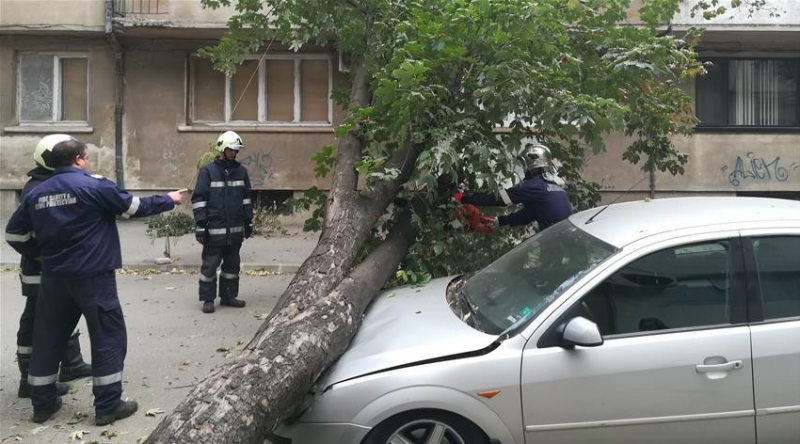 Силният вятър събори дърво върху лек автомобил Форд Мондео паркиран