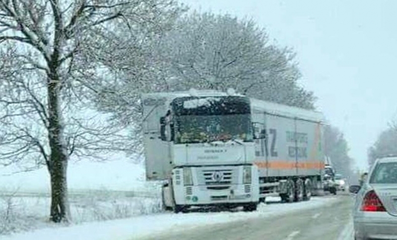 Аварирал ТИР затапи движението по главен път Е-79 между Видин
