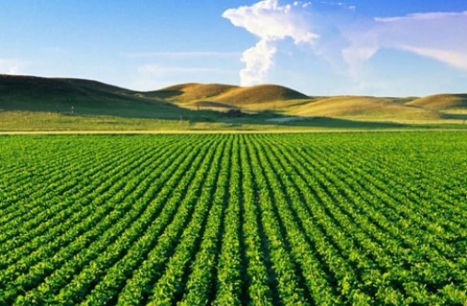 Цените на земеделската земя в България се повишават повече и