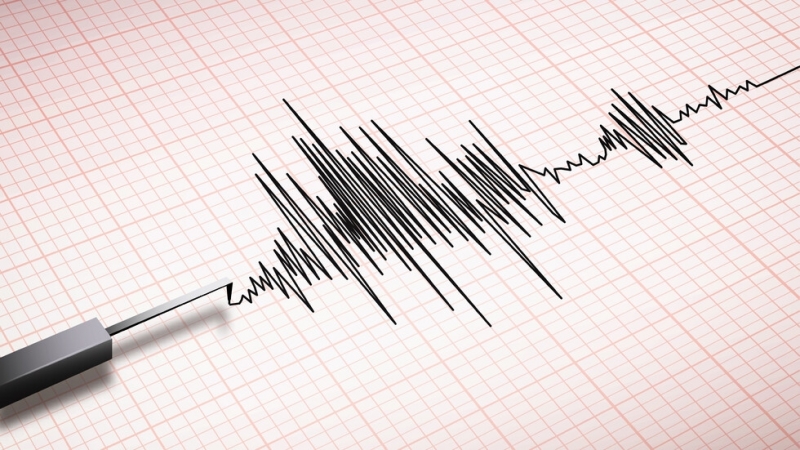 В 12 48 ч е регистрирано слабо земетресение с епицентър в близост