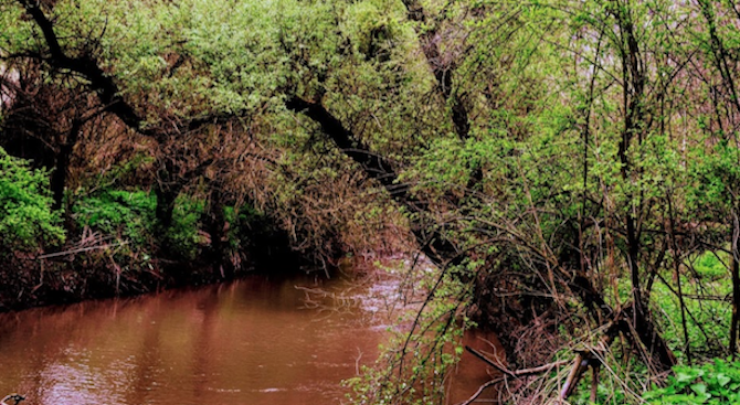Оцветени води с неприятна миризма се изливат системно в река Русенски