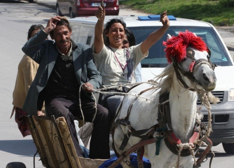 Роми от Монтана са откраднали коня на семейство от Враца