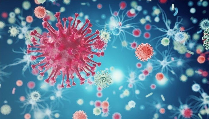 31 са активните случаи на коронавирус в област Видин, сочат