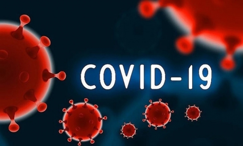 750 са новодиагностицираните с коронавирусна инфекция лица през изминалите 24