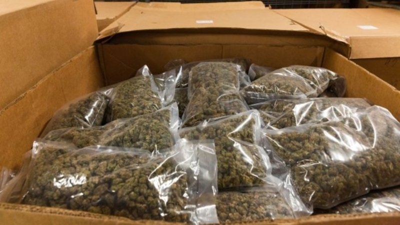 Задържаха 350 кг марихуана в камион в Нови Искър Наркотикът