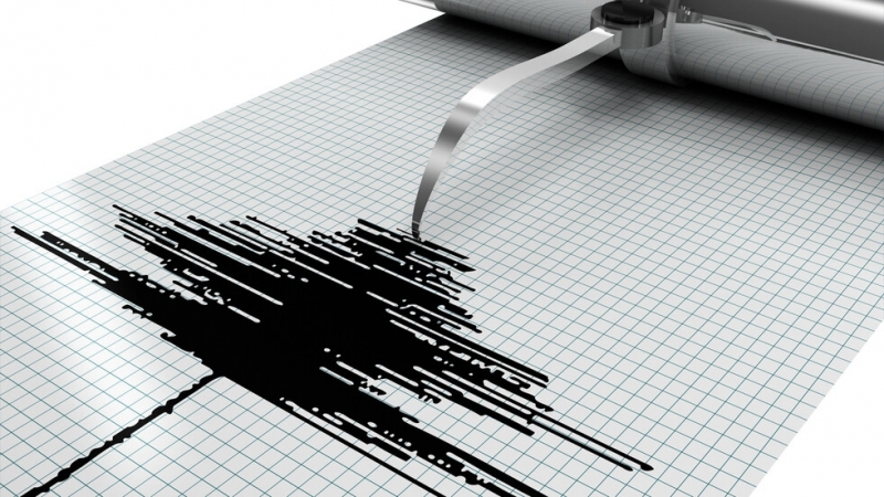 Земетресение с магнитуд 4,6 е било регистрирано в Егейско море