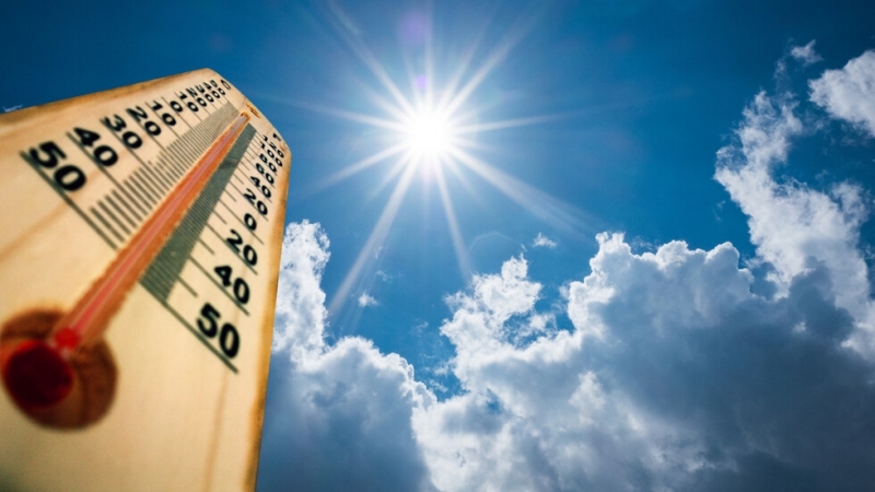 Над 40 градуса ще надхвърлят температурите през месеца прогнозира Леночка