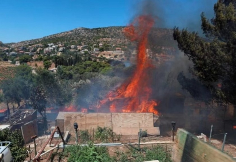 Продължават горските пожари в Гърция Властите днес евакуираха туристи намиращи