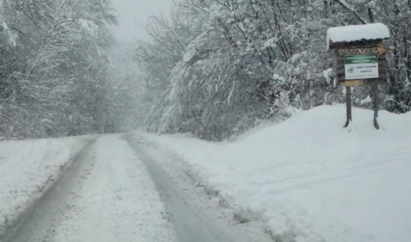 Две села в Белоградчишко са откъснати от света заради снега,