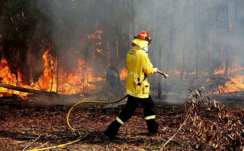 Десетки пожари в храсти и гори са извън контрол в
