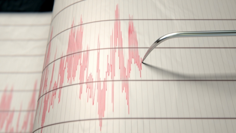 Земетресение с магнитуд 5 6 разтърси щата Карабобо на север във