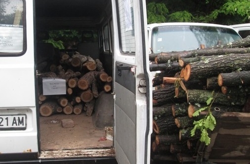 Полциията е заловила двама криминално проявени да товарят незаконни дърва