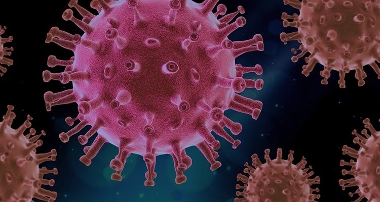 20 са новите случаи на коронавирус у нас. Направени са