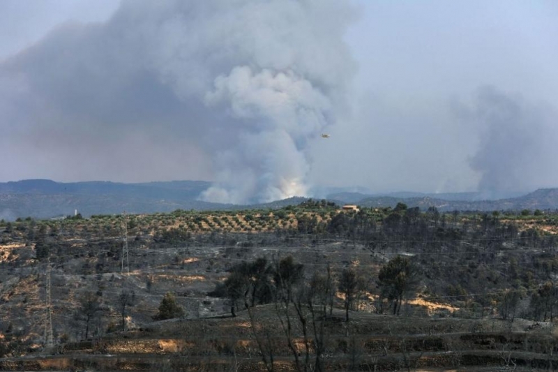 Горски пожар бушува в Североизточна Испания разпростирайки се върху площ