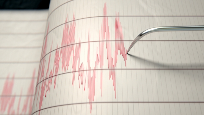 Земетресение от 6 2 по Рихтер разтърси тази сутрин индийския щат