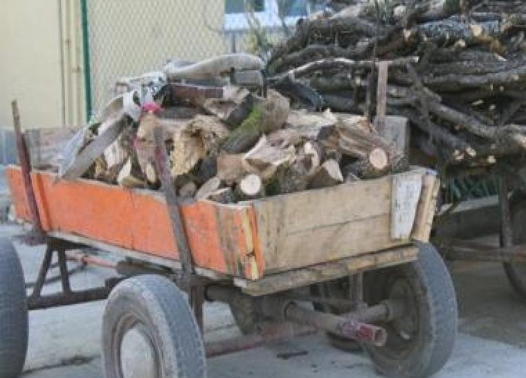 Полицаи задържаха три каруци с незаконна дървесина на 20 ти октомври