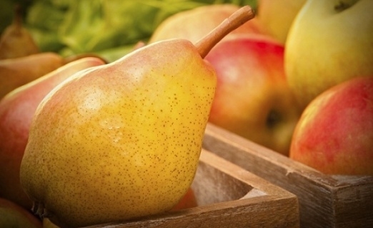 Голяма част от реколтата от ябълки, круши, сливи и череши