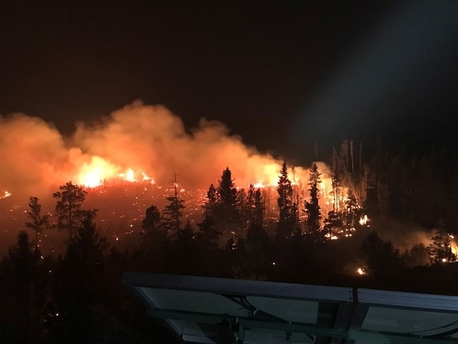 В Колорадо бушува най големият пожар в историята на щата Стихията