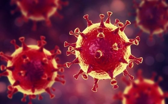 Има нова мутация при коронавируса Тя позволява на вируса по лесно