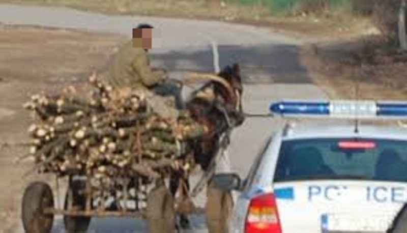 Униформени хванаха каруца с дърва във Видинско, съобщиха от МВР.