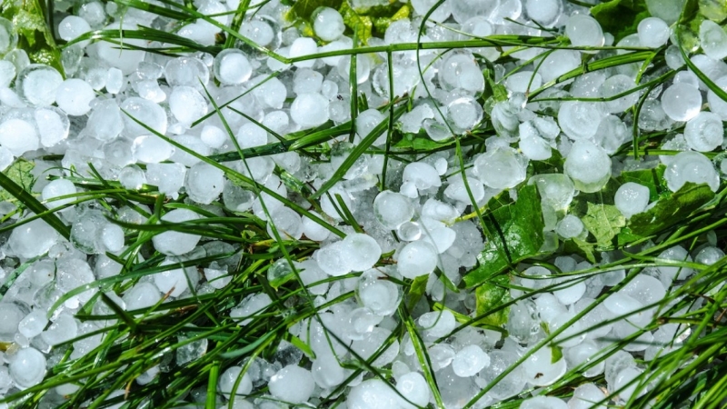 Земеделски производители от Врачанско ще бъдат компенсирани заради силните бури,