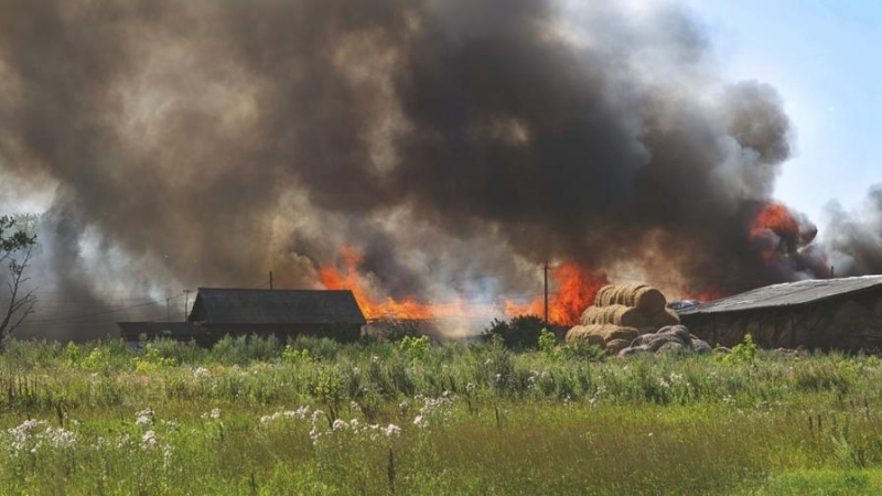 Животни изгоряха живи при голям пожар в Монтанско съобщиха от