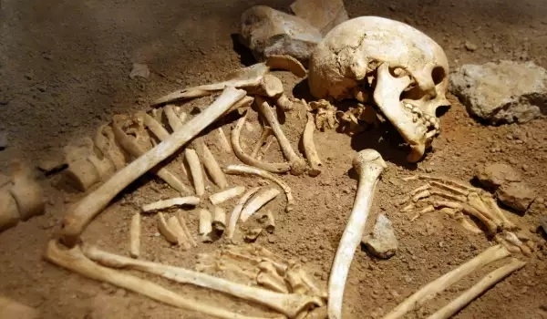 За намерени човешки кости и останки от ковчег при изкоп