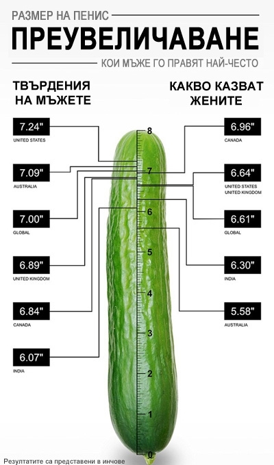 Размер полового члена человека — Википедия