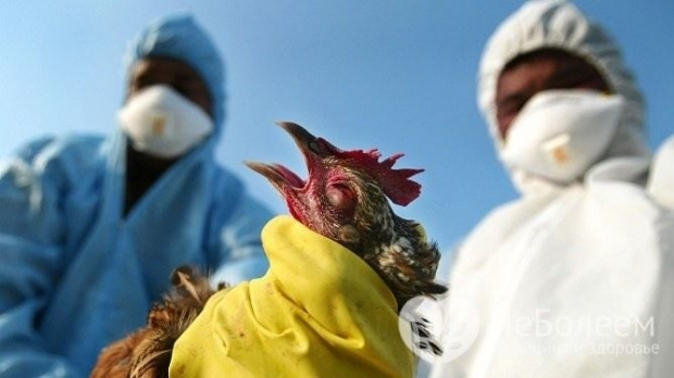 Първи случаи на птичи грип бяха потвърдени в Албания съобщи министерството на земеделието