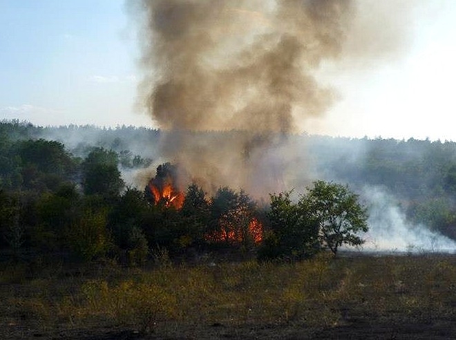 Пожар горя до моста в козлодуйското село Гложене, научи BulNews.