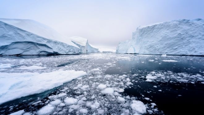 Учени откриха признаци за гигантски вируси в гренландската ледена покривка