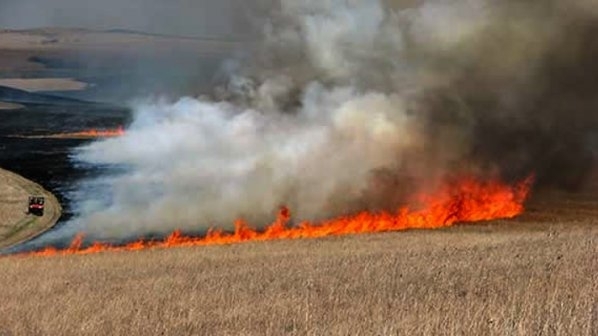 Запалиха нива на Ценко Чоков в белослатинското село Галиче научи